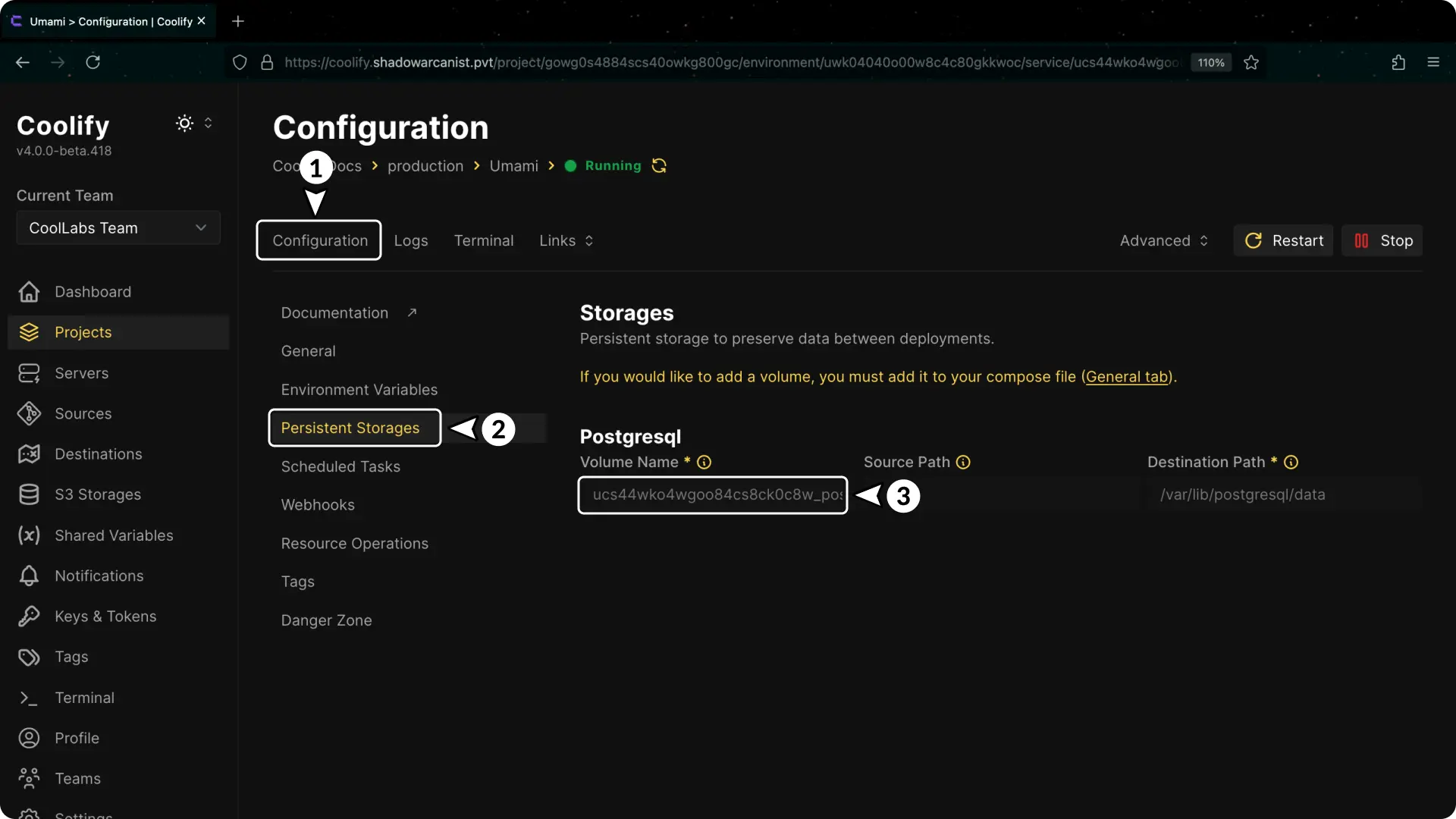 Coolify Dashboard Persistent Storage Image