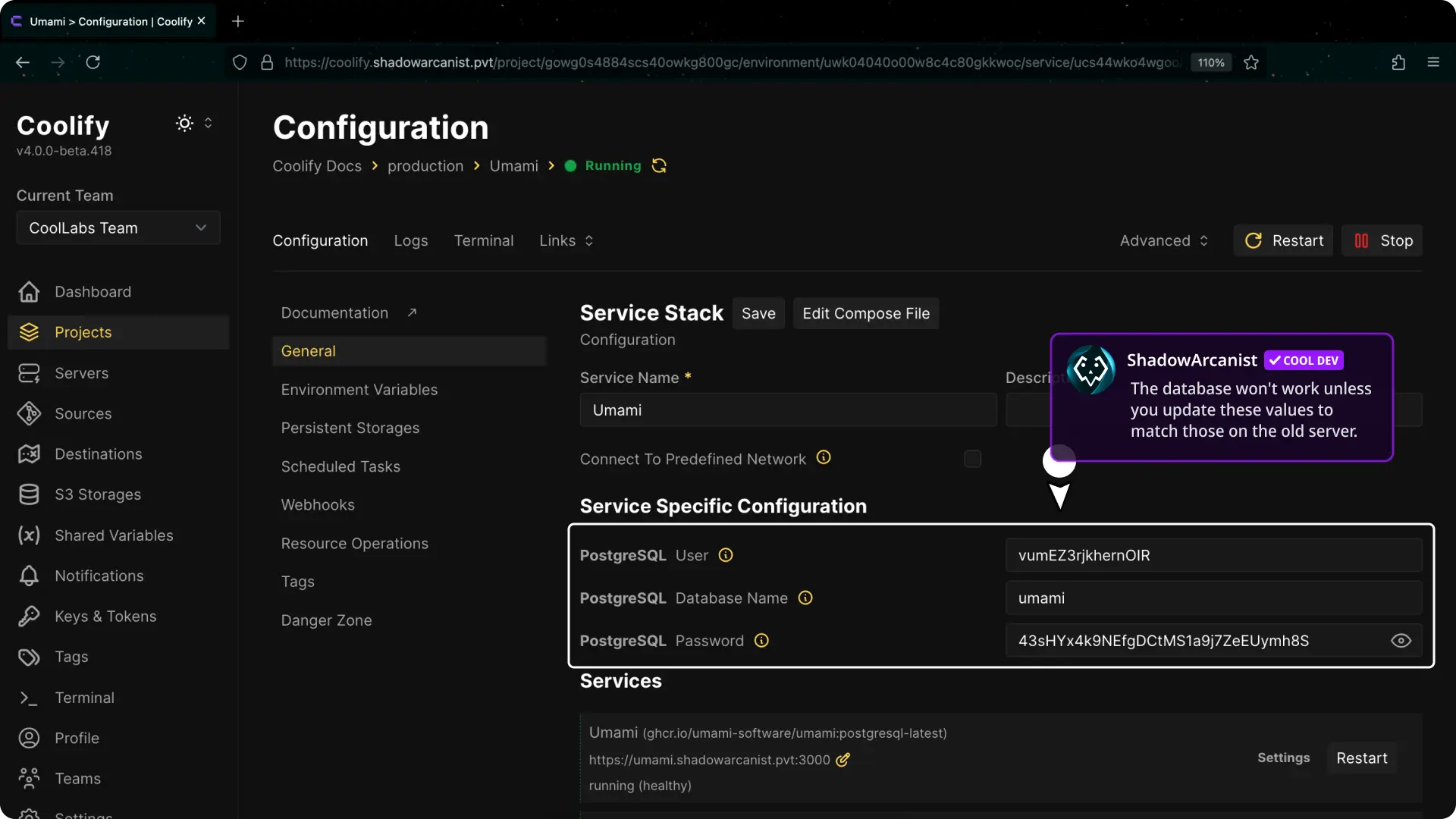 Coolify Dashboard Environment Details Image